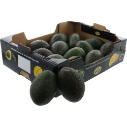 AVOCAT HASS READY TO EAT 22PCS